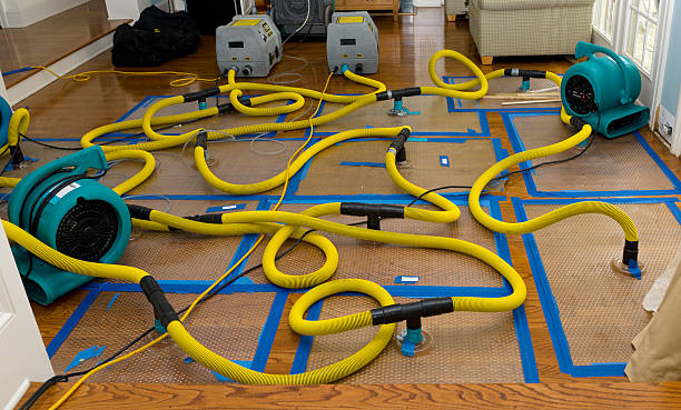 Professional Flood Damage Restoration technician working in Rumson, NJ